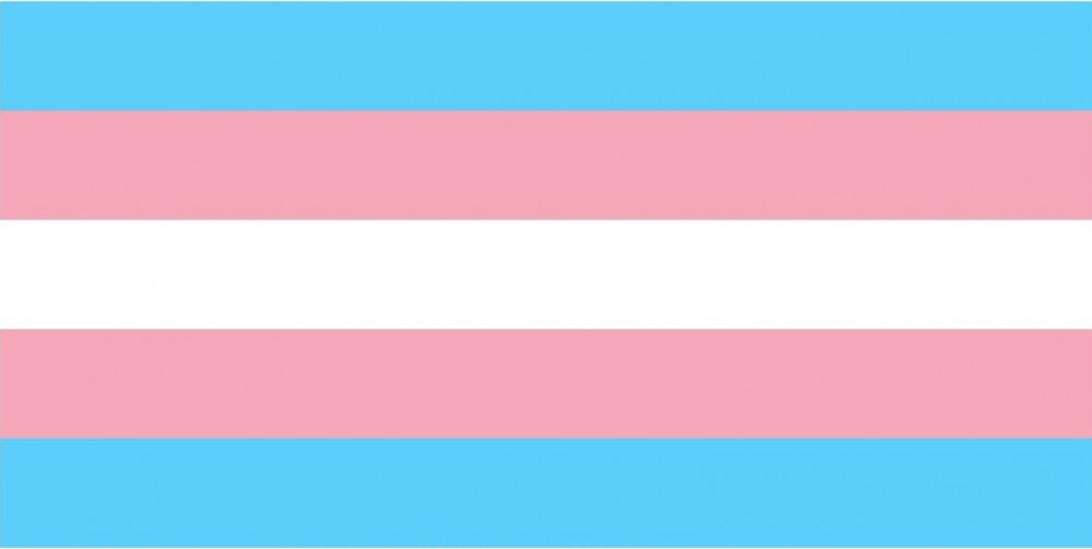 Resultado de imagem para bandeira trans
